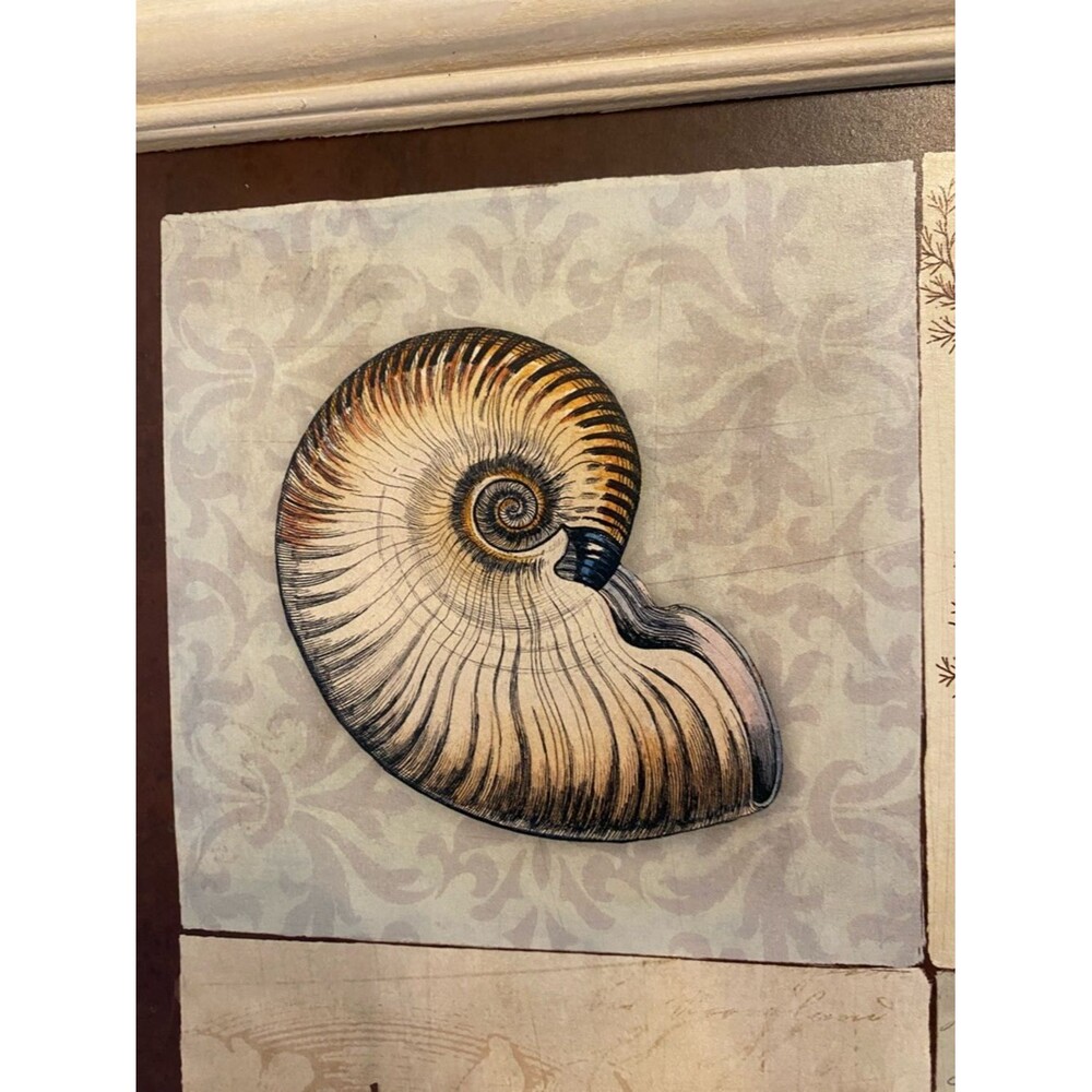Stephanie Marrott Sea Shell Wall Art - with a Quote from Chopin - Picture 3 of 9
